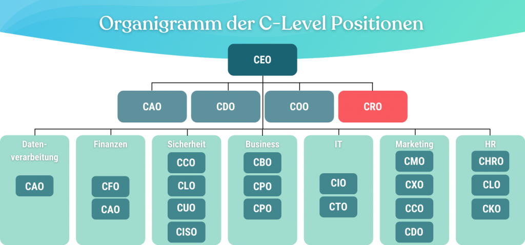 Organigramm-CRO-Chief-Risk-Officer