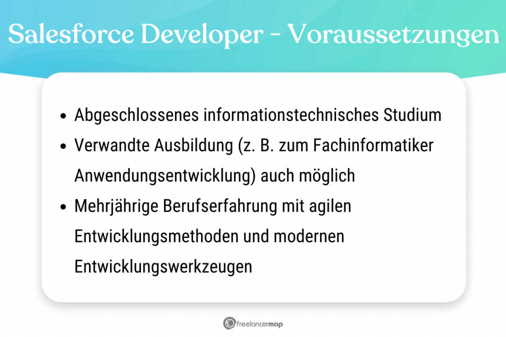 Voraussetzungen, die für den Salesforce Developer gelten