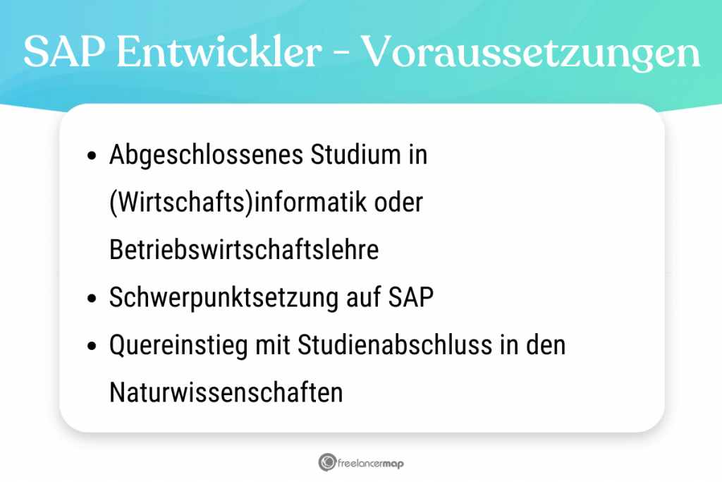 Voraussetzungen, die für den SAP Entwickler gelten