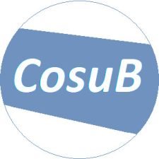 **** ****